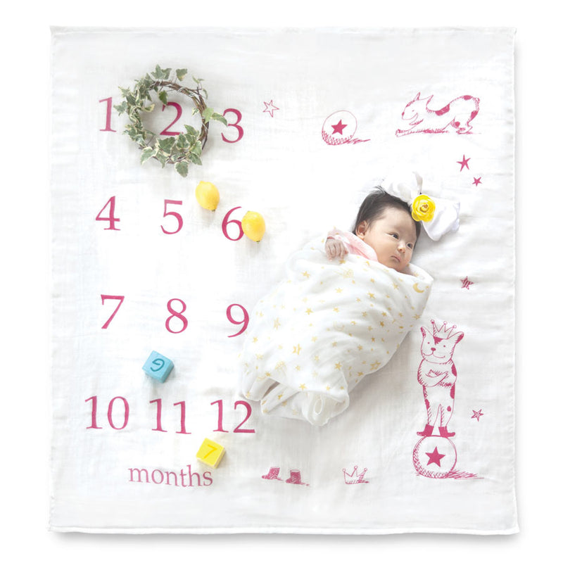 Swaddle Triple Gauze Packet / Number Dog