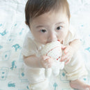 ヒツジヌイグルミ