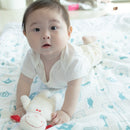 ヒツジヌイグルミ