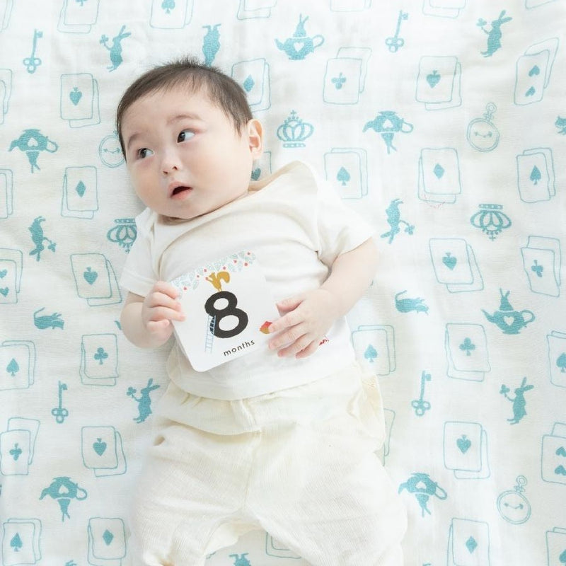 Swaddle Triple Gauze Packet / Number Dog