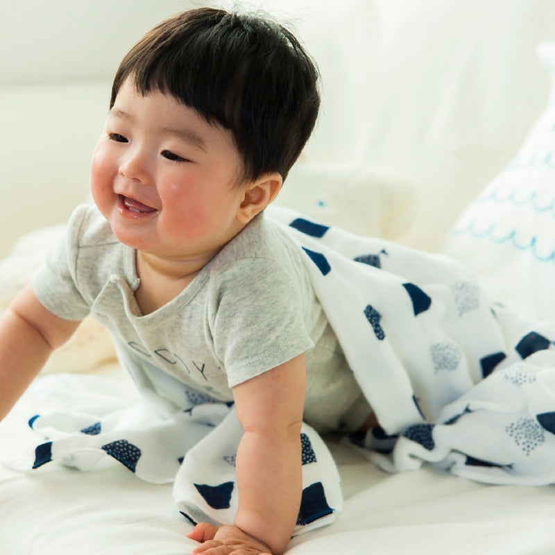 Swaddle Triple Gauze Packet / Wave