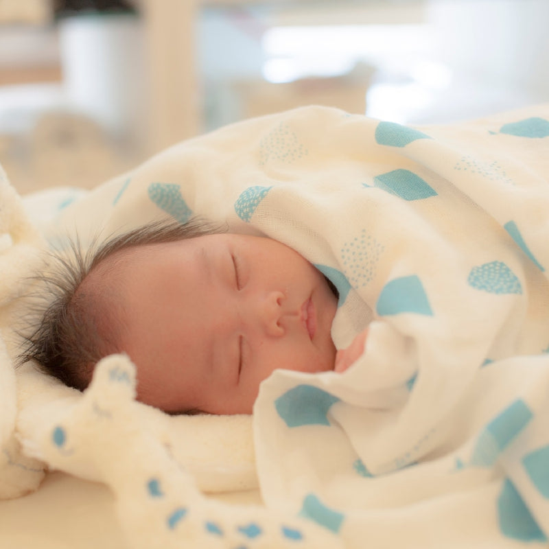 Swaddle Triple Gauze Packet / Wave