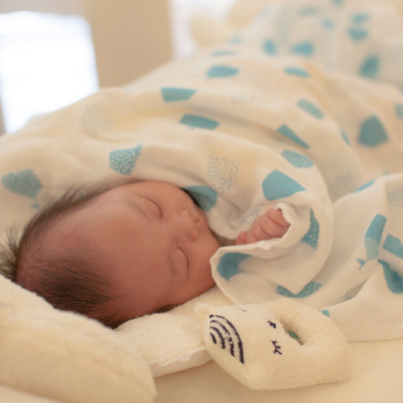 Swaddle Triple Gauze Packet / Wave